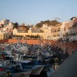 Ponza