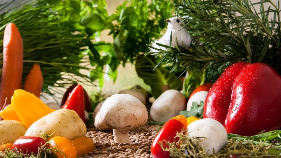 vegetables landscape 2943500 1280