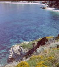 05calafrati