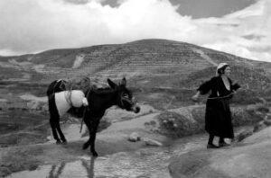 DonnainCalabria1951