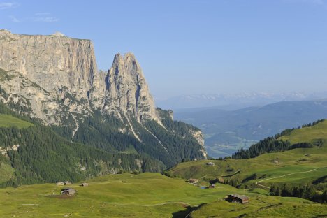 Panorami estivi 4