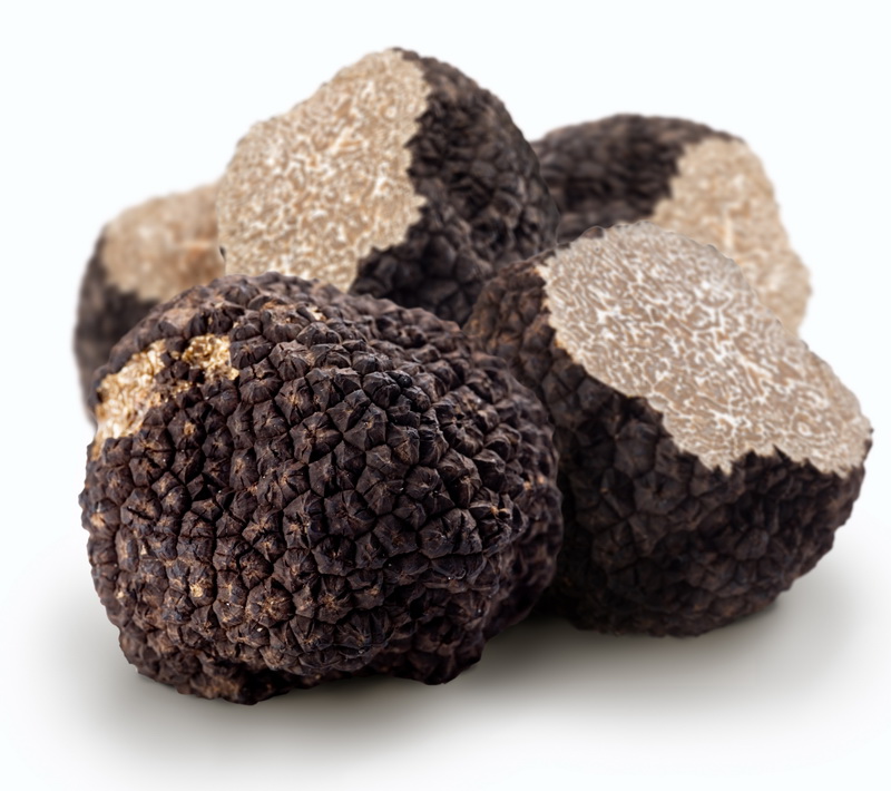 tartufo nero