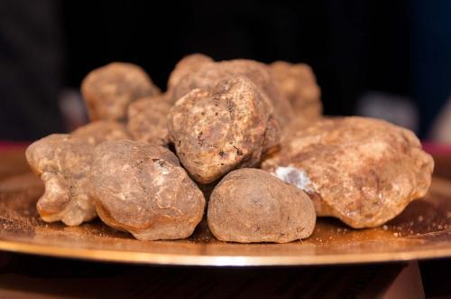 Tartufo Bianco di San Miniato