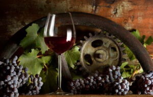 Territori del vino e del gusto
