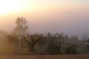 Toscana, bella in tutte le stagioni