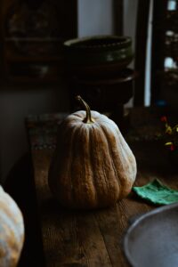 Zucca, ingrediente base per i ravioli di zucca