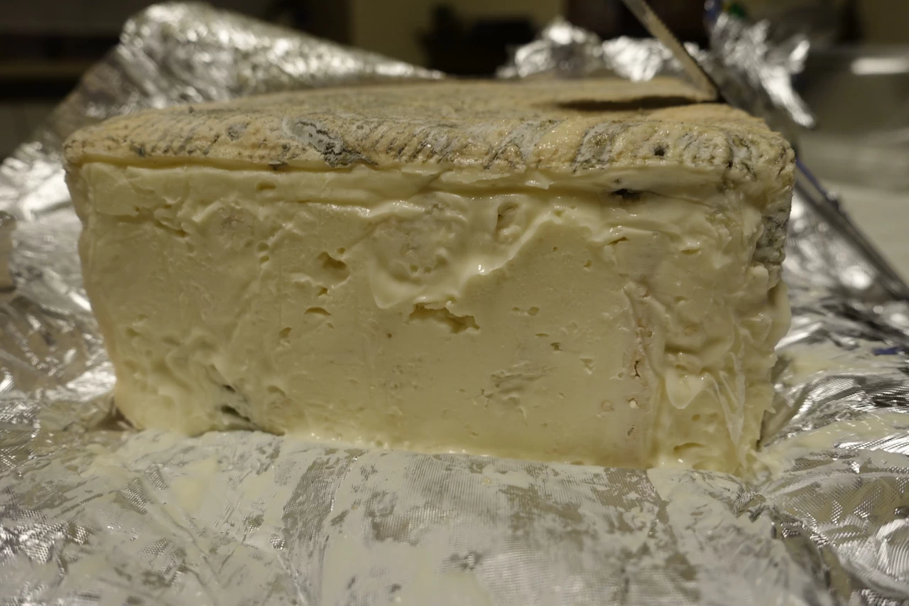 Gorgonzola DOP 