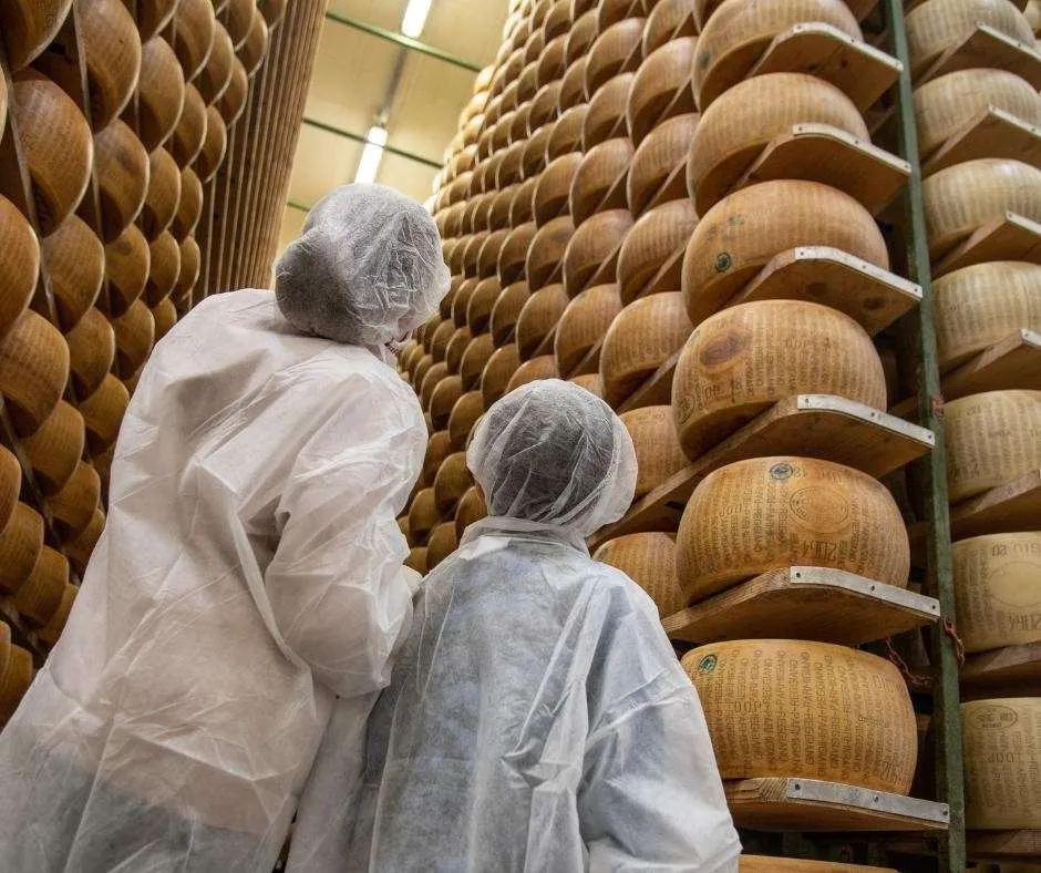 Il Parmigiano Reggiano di FIdenza