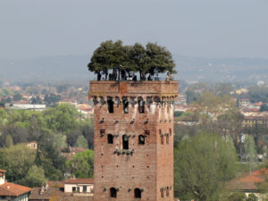 Lucca Torre Guinigi