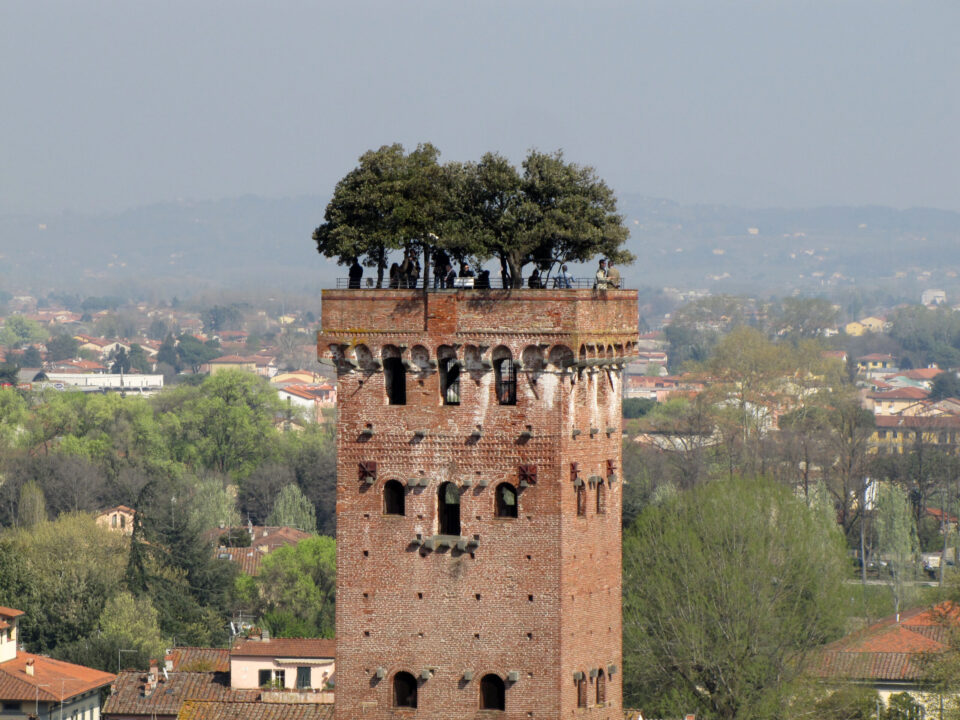 Lucca Torre Guinigi scaled