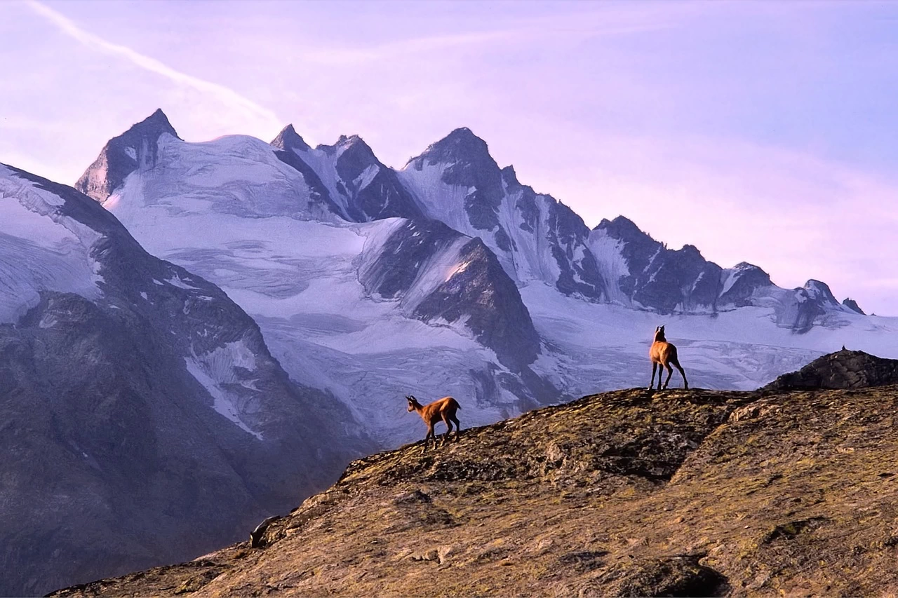 I diavoli del Gran Paradiso